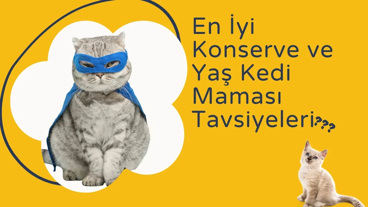 Image for 2025'in En İyi Konserve & Yaş Kedi Maması: Sağlıklı ve Lezzetli Seçenekler