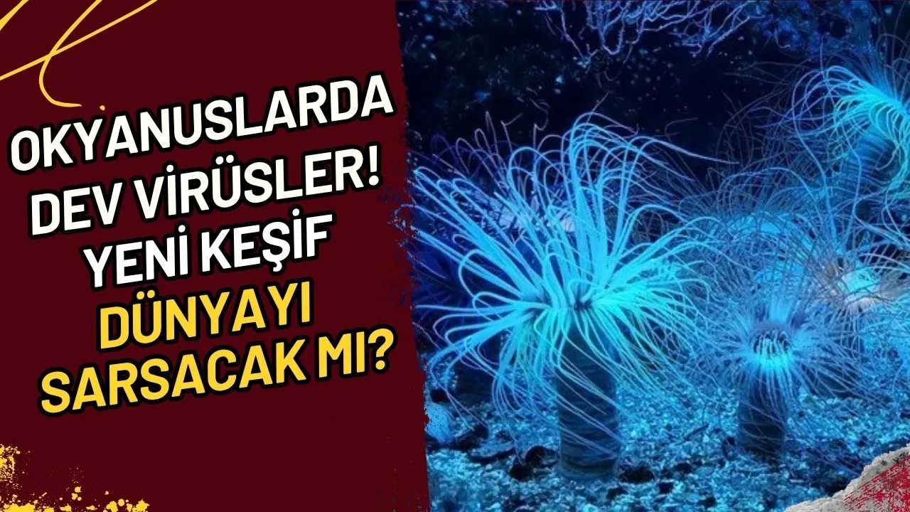 Okyanuslarda Dev Virüsler! Yeni Keşif Dünyayı Sarsacak Mı?