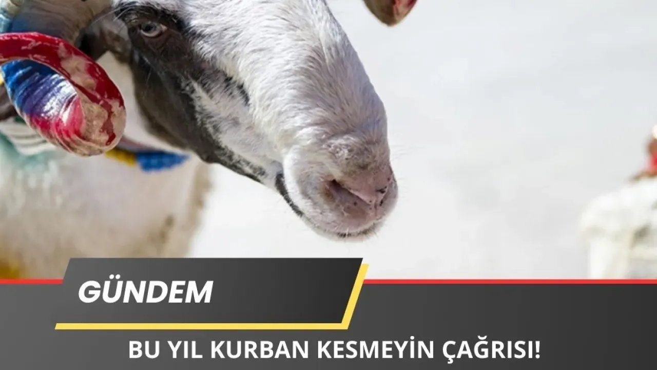 Image for 'Bu Yıl Kurban Kesmeyin" Çağrısı Yapıldı!
