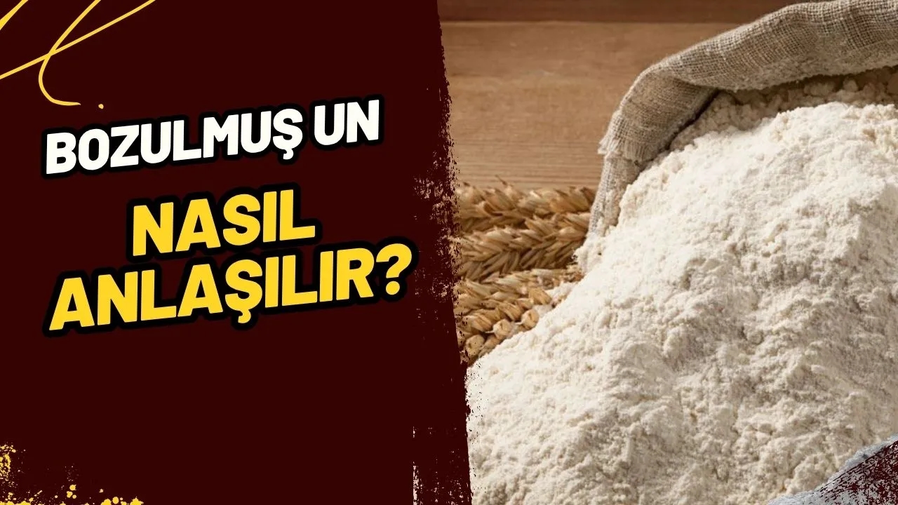 Un Bozulur Mu? Bayat ve Bozuk Unu Anlamanın Püf Noktaları!