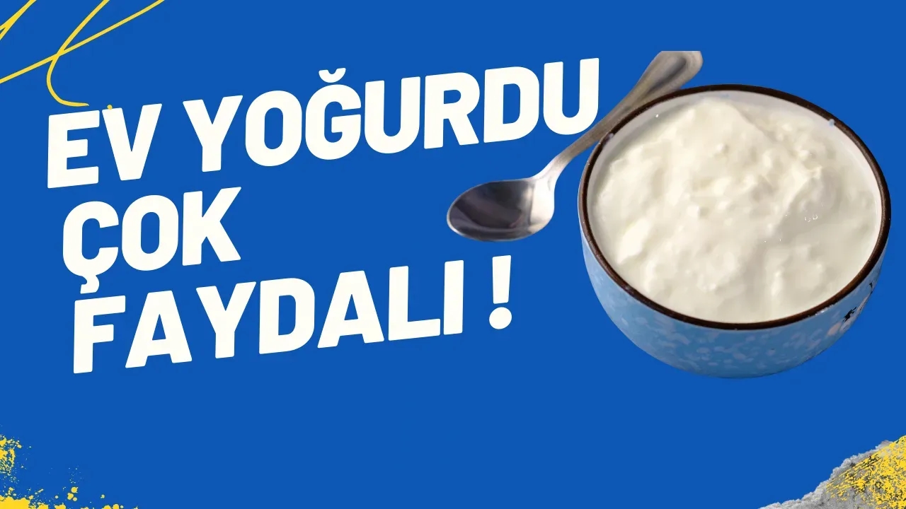 Ev Yoğurdunun Mucizevi 9 Faydası: Bağışıklık Sisteminden Sindirime Tam Destek!
