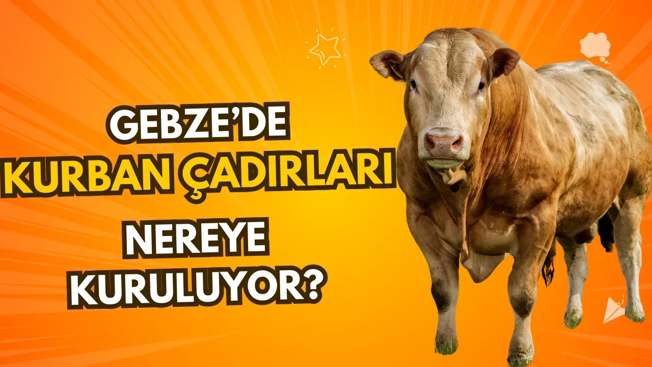 Gebze'de Kurban Çadırları Nereye Kurulacak? 2025 İşte Yeni Adresler!