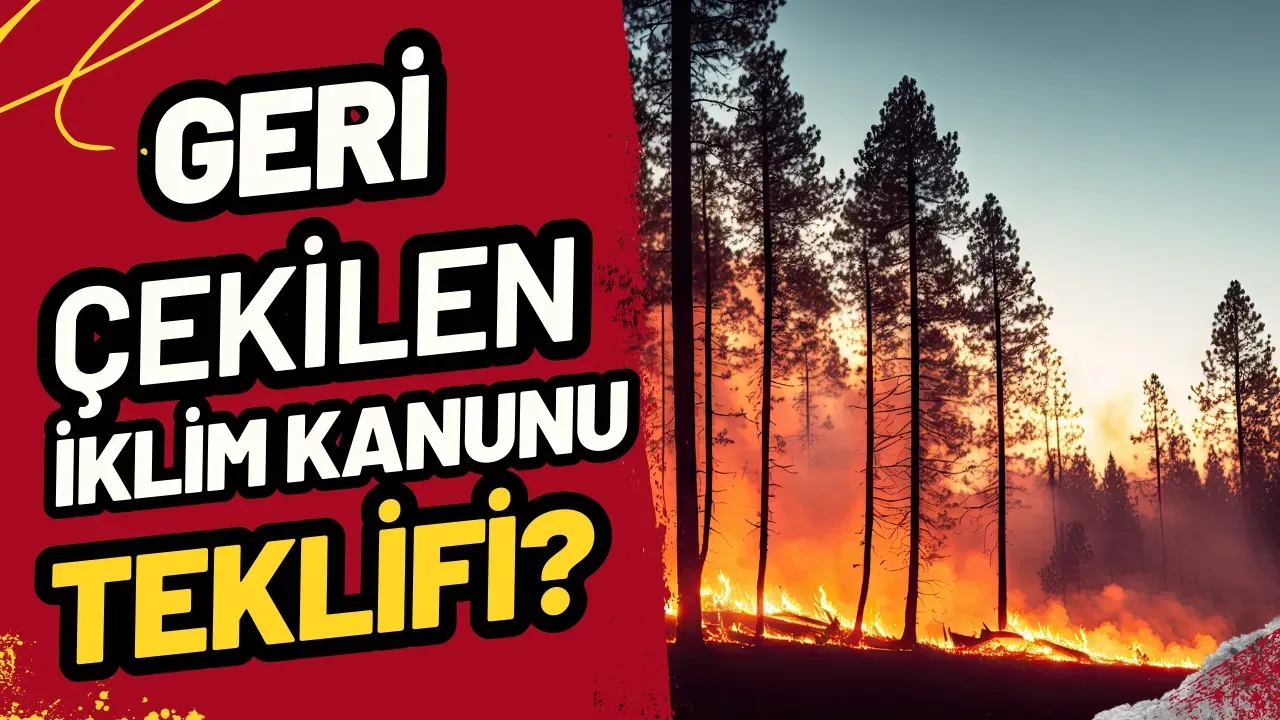 Geri Çekilen İklim Kanunu Teklifi: Türkiye'nin Yeşil Geleceği İçin Neden Hayati Önem Taşıyor?