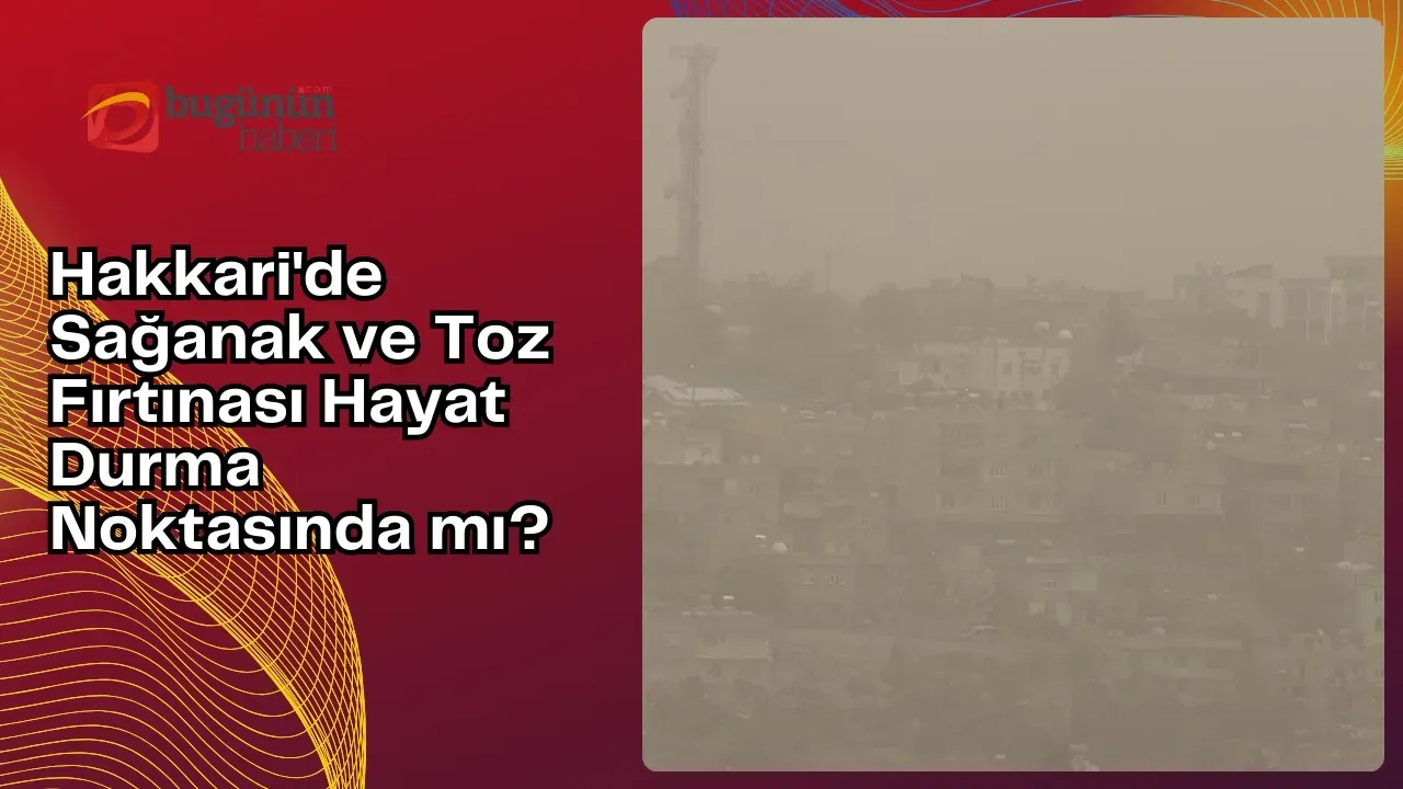 Image for Hakkari'de Sağanak ve Toz Fırtınası Hayat Durma Noktasında mı?