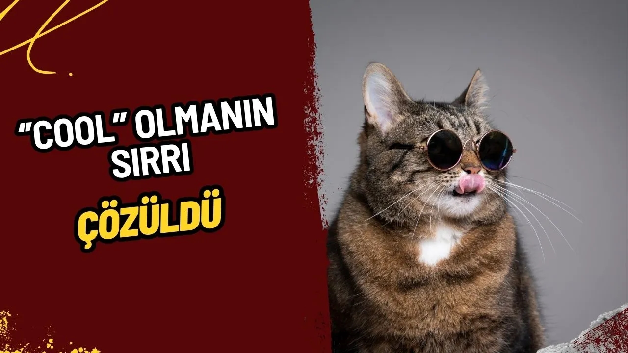 "Cool" Olmanın Sırrı Çözüldü: Dünya Genelinde Ortak 3 Özellik Ortaya Çıktı!
