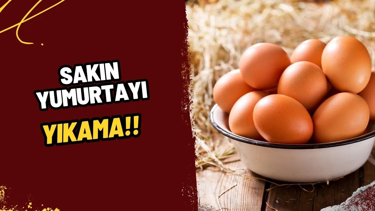 Yumurta Yıkanır Mı? İşte Sağlığınız İçin Bilmeniz Gereken Önemli Detaylar!