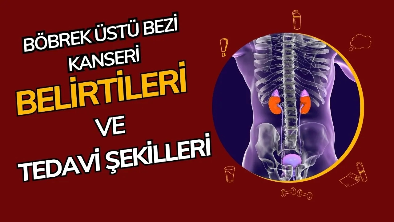 Böbrek Üstü Bezi Kanseri Nedir? Belirtileri, Teşhisi ve Tedavi Seçenekleri
