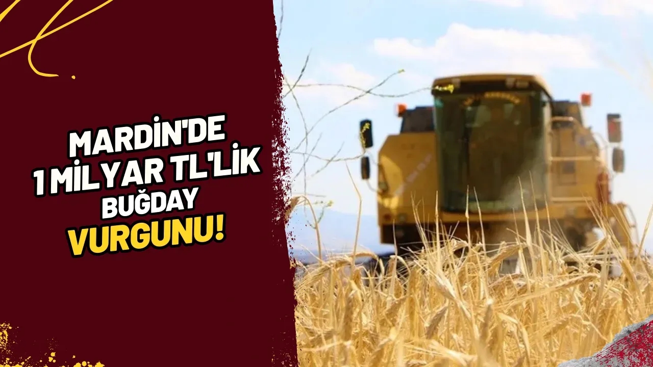 Mardin'de 1 Milyar TL'lik Buğday Vurgunu!