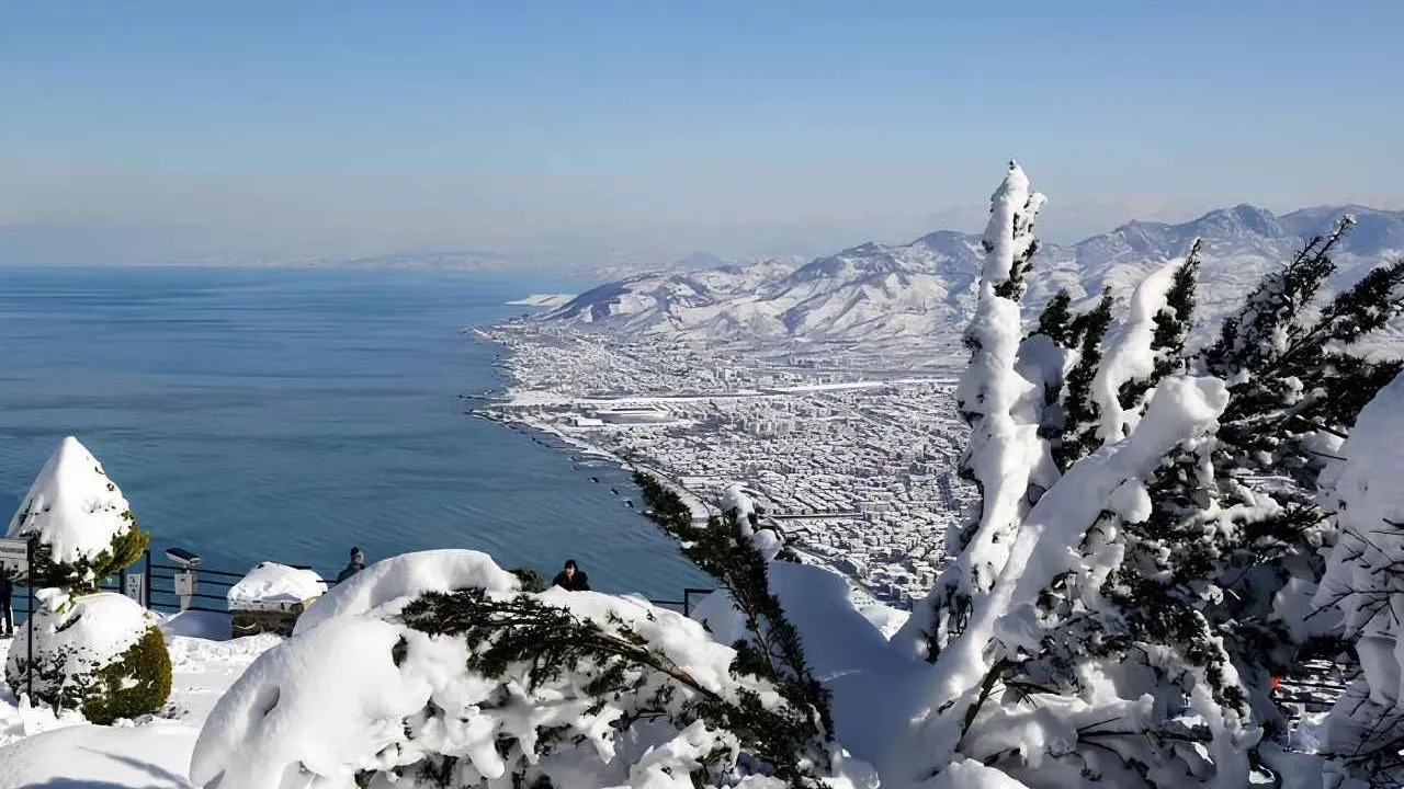 "Ordu'da Karlı Yokuşta Kayan Genç, Ağaca Çarparak Yaralandı"