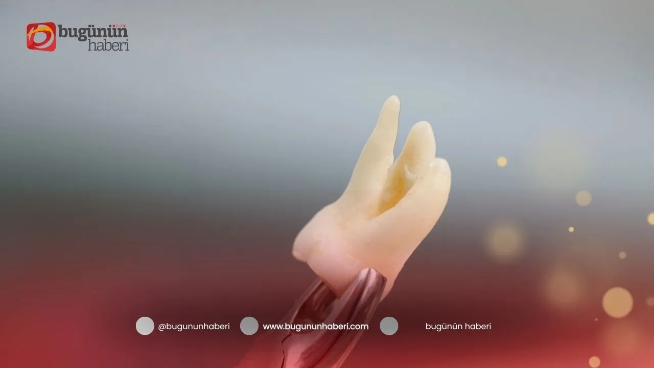 Media content