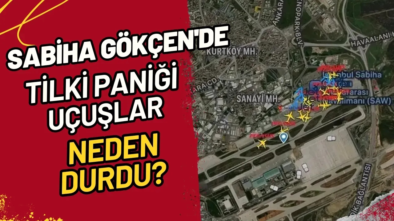 Sabiha Gökçen'de Tilki Paniği Uçuşlar Neden Durdu?
