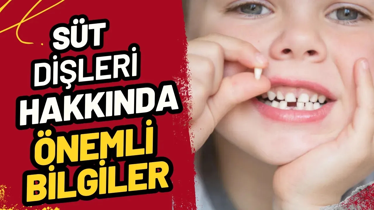 Süt Dişleri Neden Önemli? Sağlığın Temeli mi?