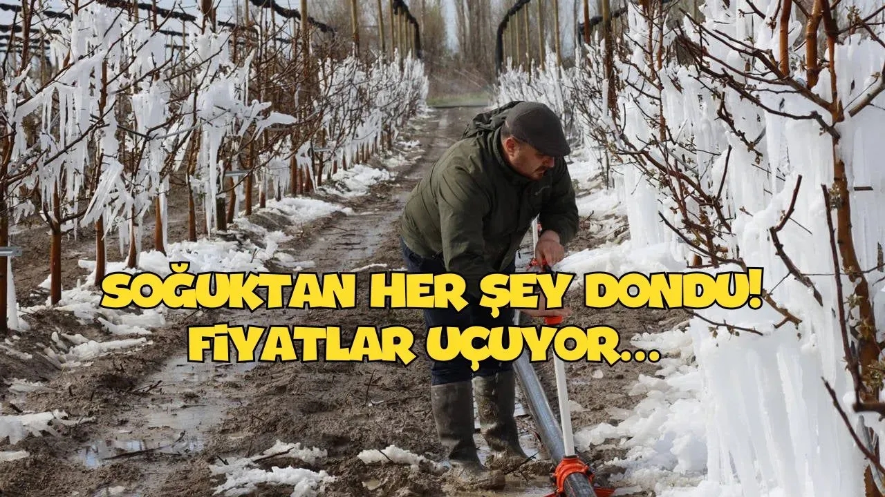 Tarihi Don Felaketi: Ürünler Yok Oldu, Fiyatlar Uçacak (işte detaylar...)