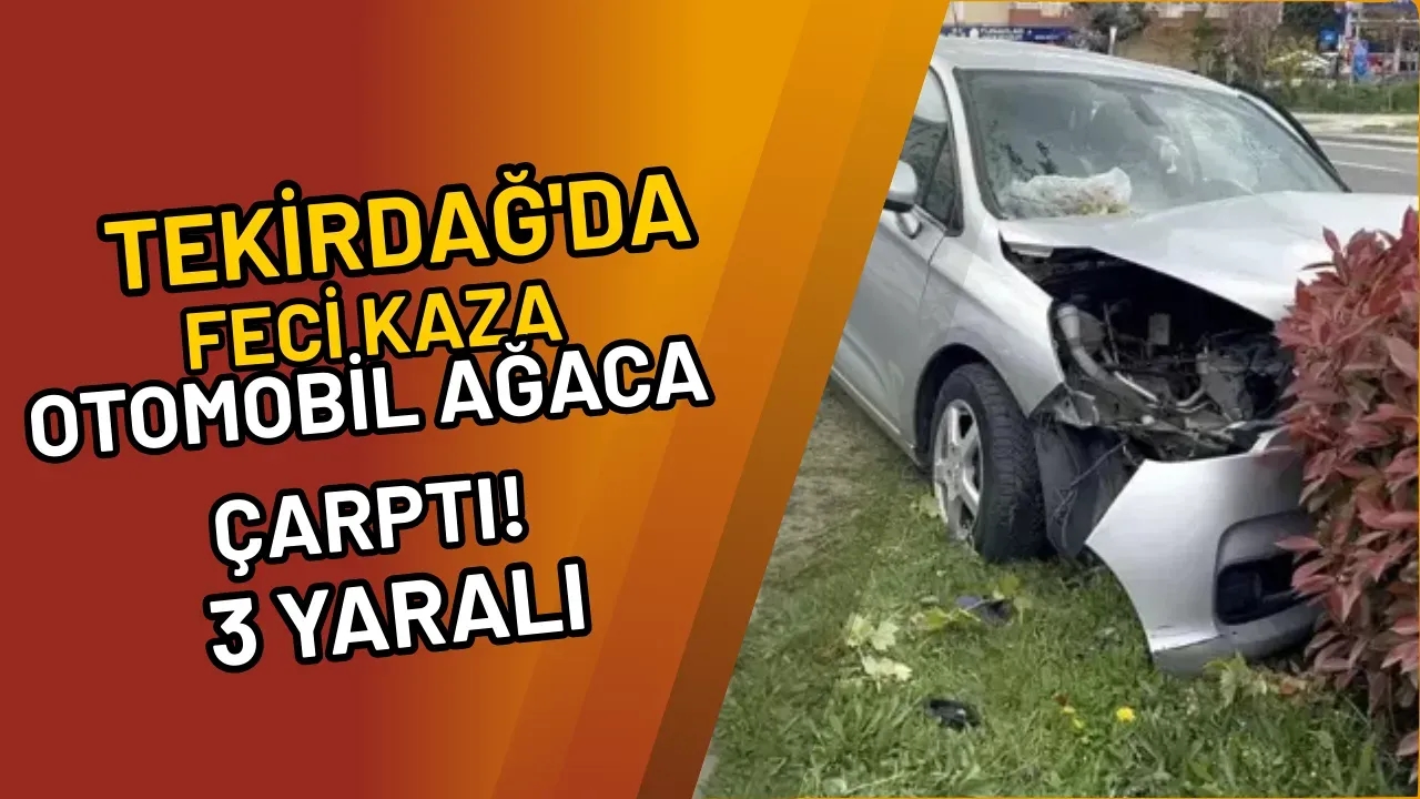 Image for Tekirdağ'da Feci Kaza Otomobil Ağaca Çarptı! 3 Yaralı