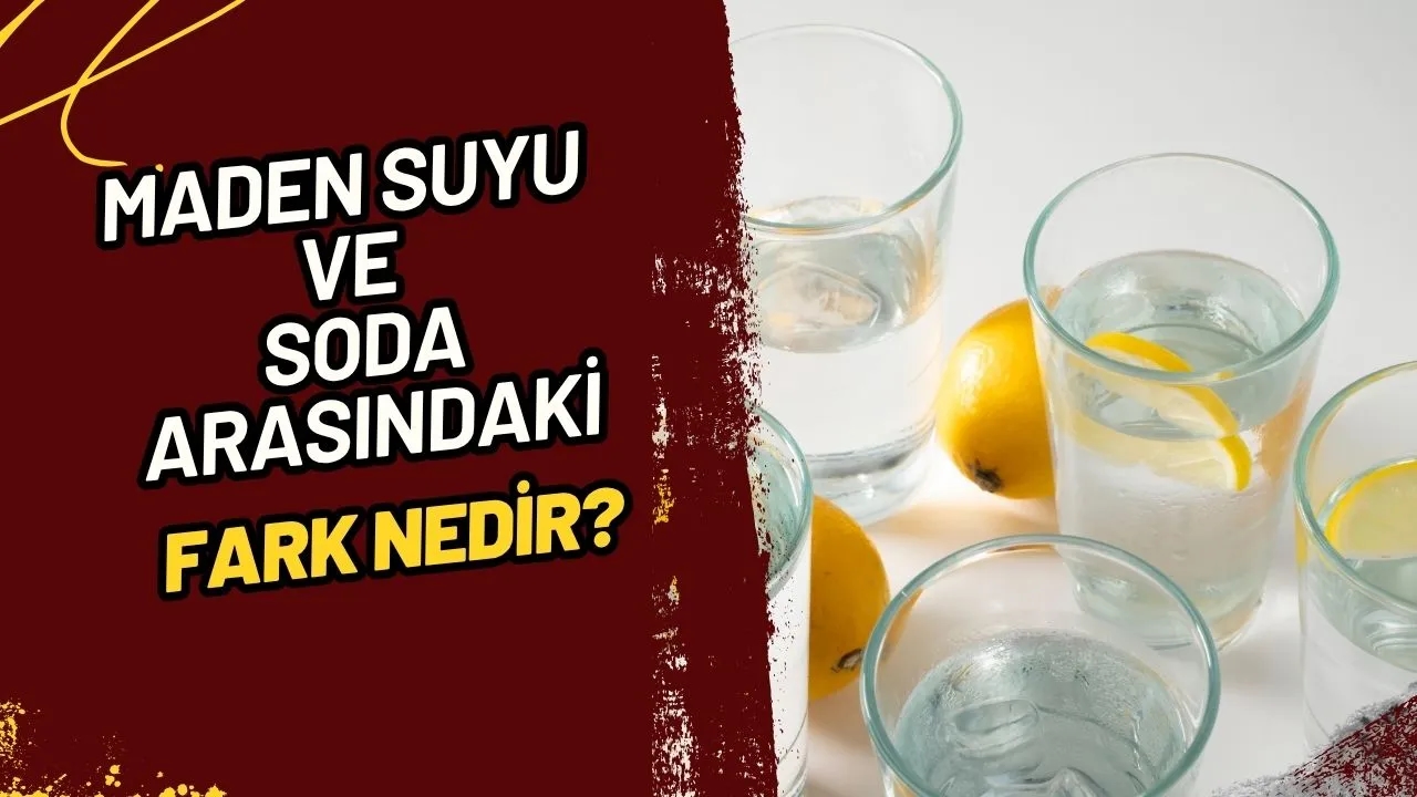 Maden Suyu ile Soda Arasındaki Fark Nedir? Doğal Mineral Kaynağı mı, Yapay Gazlı İçecek mi?