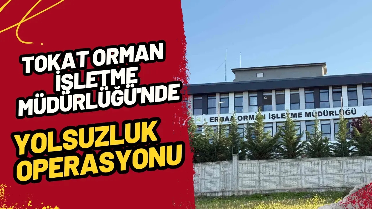 Tokat Orman İşletme Müdürlüğü'nde Yolsuzluk Operasyonu: Müdür ve Şeflerin de Aralarında Olduğu 7 Kişi Gözaltında