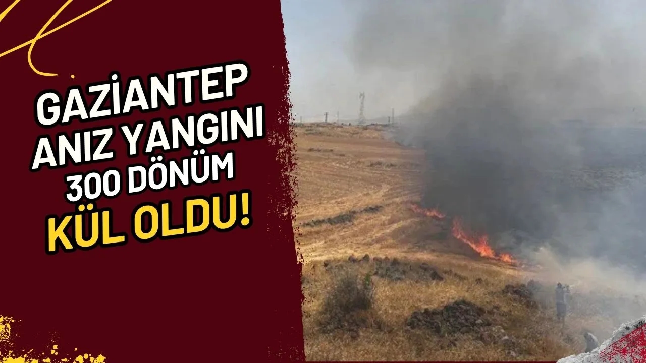 Gaziantep Anız Yangını 300 Dönüm Kül Oldu! 