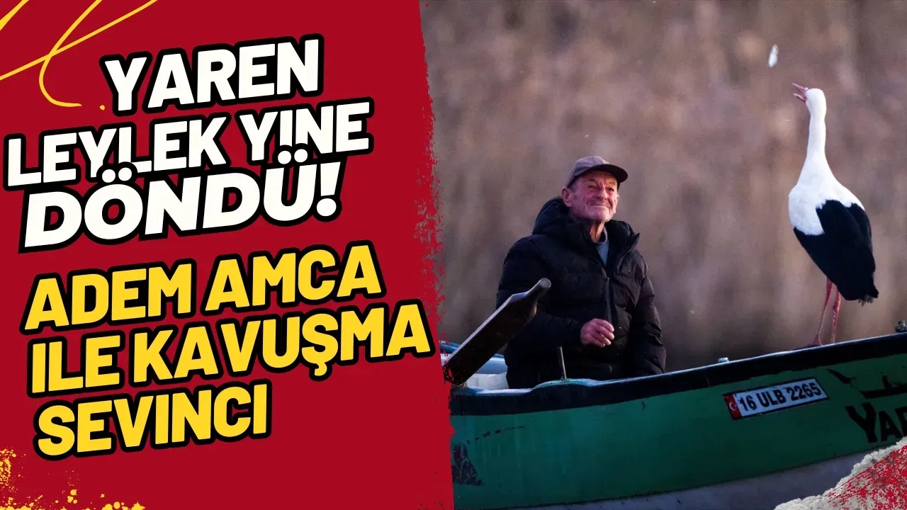 Yaren Leylek Yine Döndü! Adem Amca ile Kavuşma Sevinci