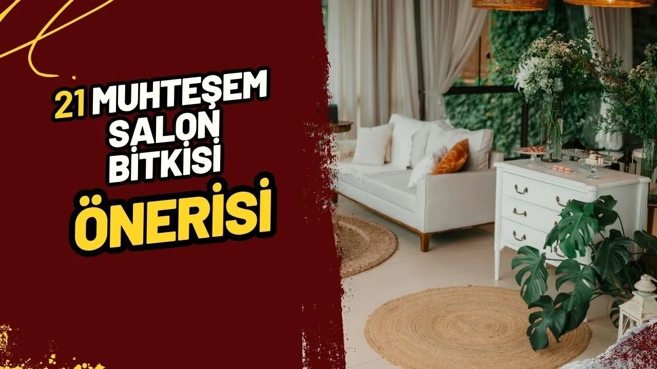 Salonunuzu Cennete Çevirecek 21 Muhteşem Salon Bitkisi Önerisi!