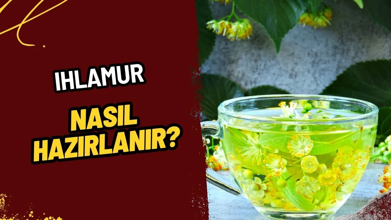 Ihlamur Nasıl Hazırlanır? Soğuk Kış Günlerinin Vazgeçilmez İçeceği: Demleme Rehberi!