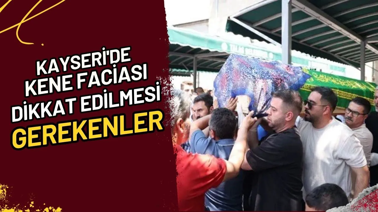 Kayseri'de Kene Faciası Dikkat Edilmesi Gerekenler