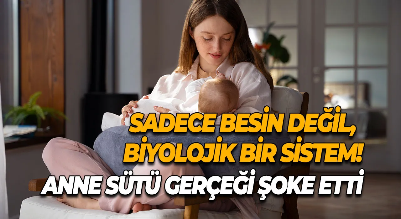 Anne Sütü Gerçeği Şoke Etti Sadece Besin Değil, Biyolojik Bir Sistem!