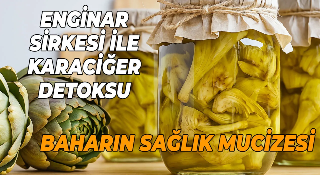 Enginar sirkesi ile karaciğer detoksu Baharın sağlık mucizesi