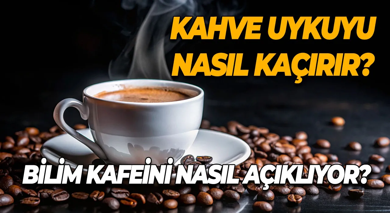 Kahve Uykuyu Nasıl Kaçırır? Bilim Kafeini Nasıl Açıklıyor?