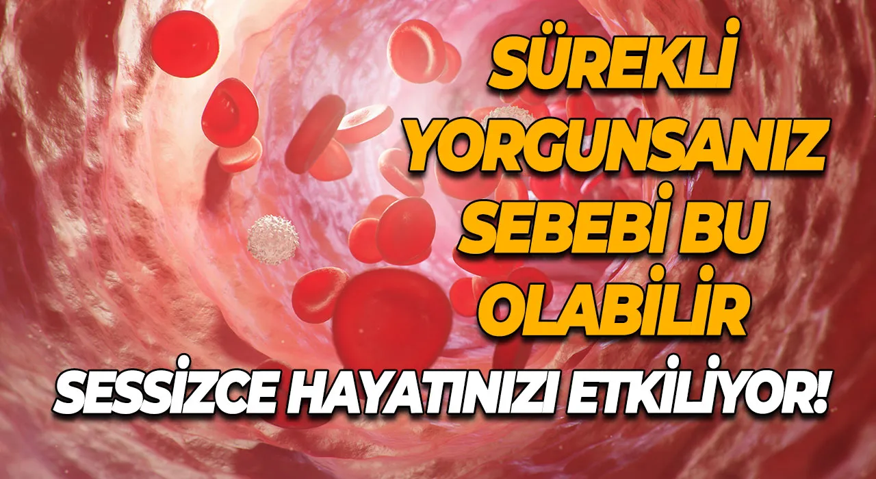 Sürekli yorgunsanız sebebi bu olabilir Sessizce hayatınızı etkiliyor!