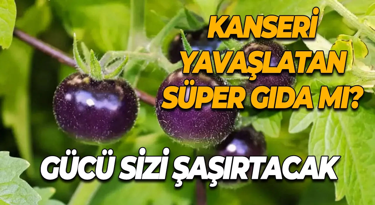 Kanseri yavaşlatan süper gıda mı? Gücü sizi şaşırtacak