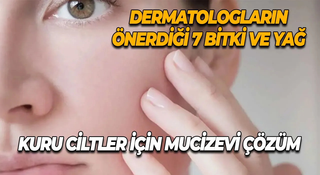 Kuru Ciltler İçin Mucizevi Çözüm Dermatologların Önerdiği 7 Bitki ve Yağ