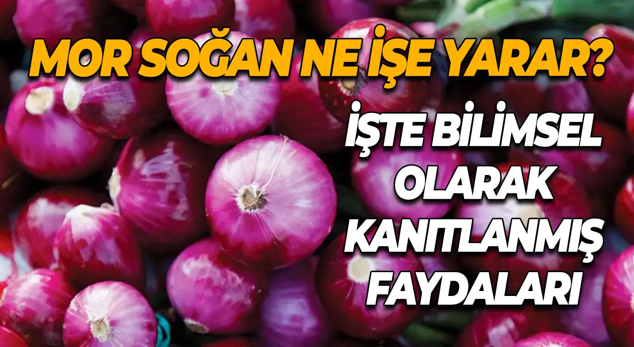 Mor Soğan Nedir, Mucize Mor Soğan Neden Bu Kadar Faydalı?