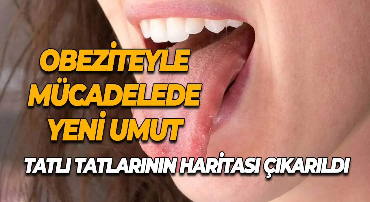 Obeziteyle Mücadelede Yeni Umut Tatlı Tatlarının Haritası Çıkarıldı