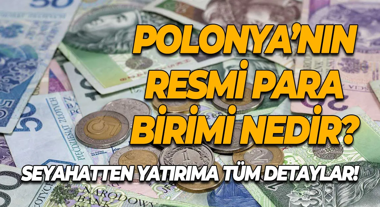 Polonya’nın Resmi Para Birimi Seyahatten Yatırıma Polonya Para Birimi Nedir?