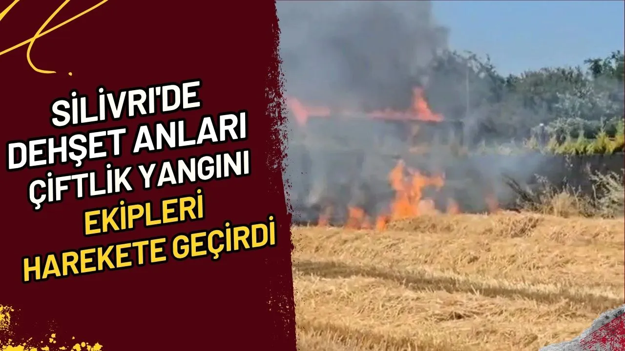 Silivri'de Dehşet Anları Çiftlik Yangını Ekipleri Harekete Geçirdi