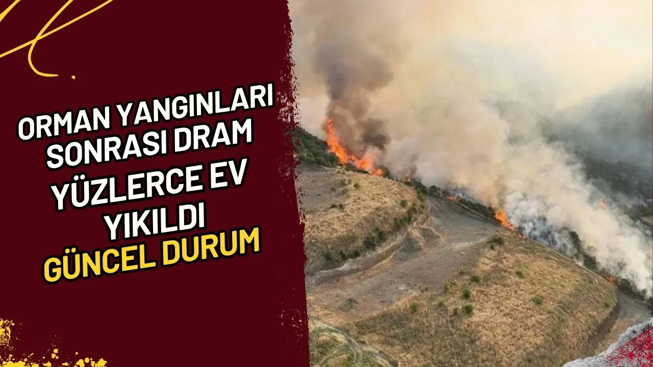 Orman Yangınları Sonrası Dram Yüzlerce Ev Yıkıldı, Güncel Durum