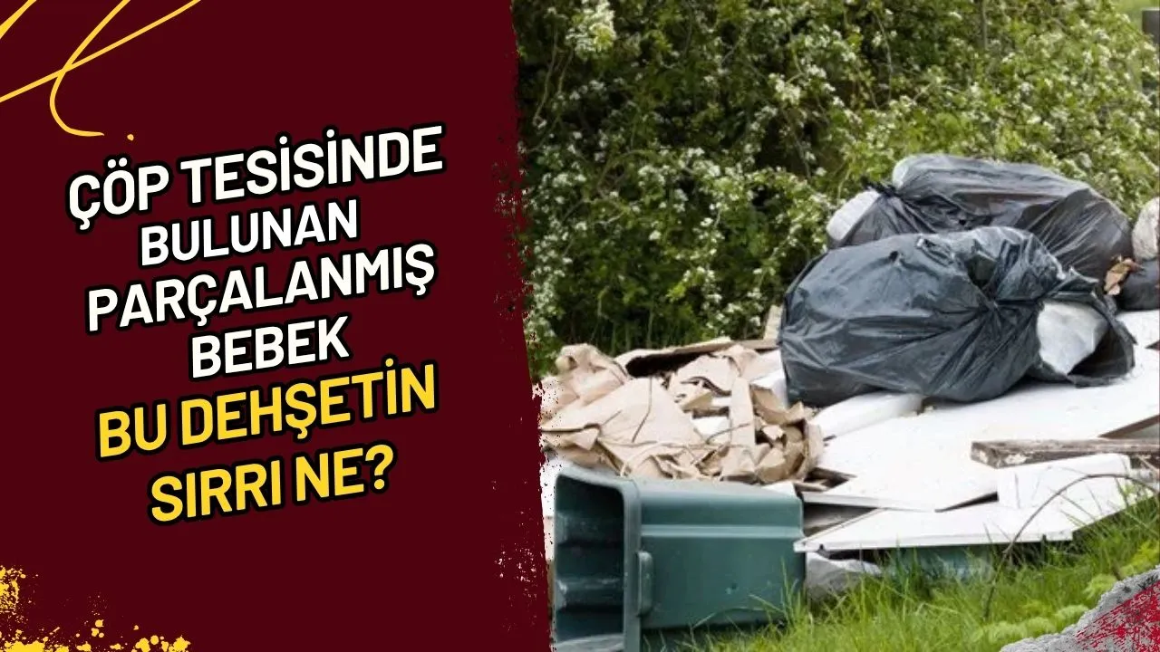 Çöp Tesisinde Bulunan Parçalanmış Bebek Bu Dehşetin Sırrı Ne?