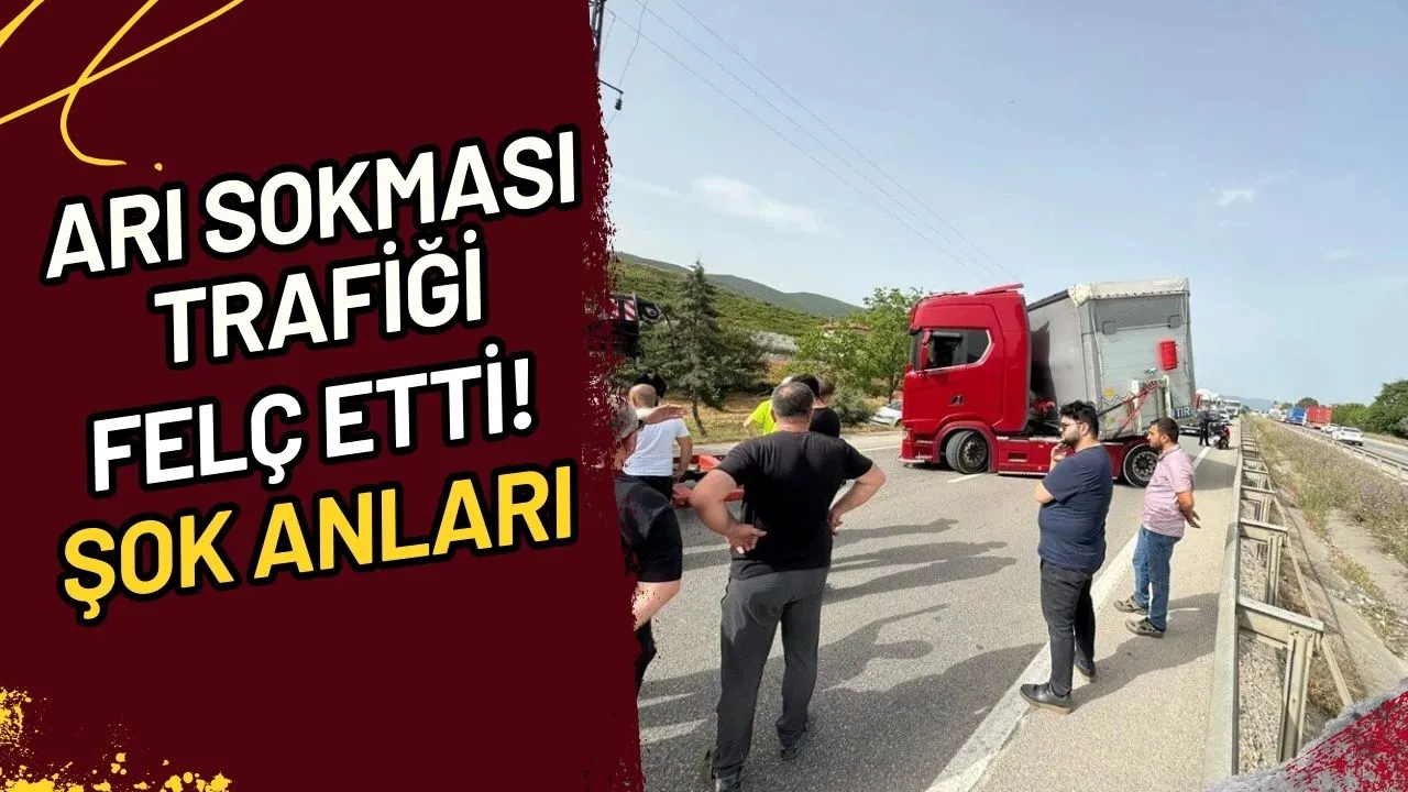 Arı Sokması Trafiği Felç Etti! Şok Anları