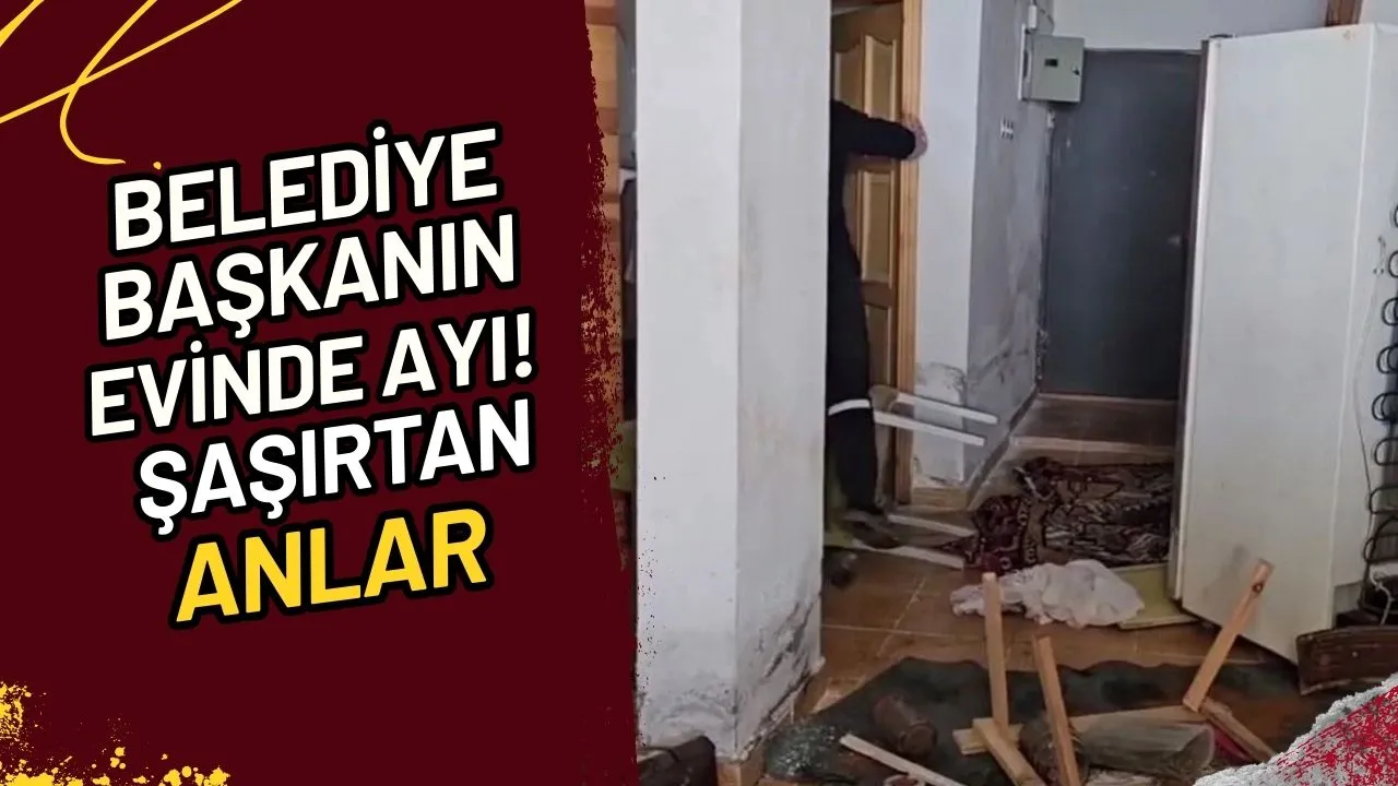 Belediye Başkanın Evinde Ayı! Şaşırtan Anlar