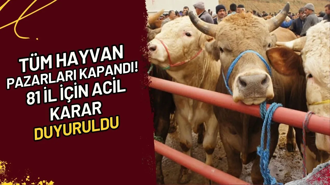 Tüm Hayvan Pazarları Kapandı! 81 İl İçin Acil Karar Duyuruldu