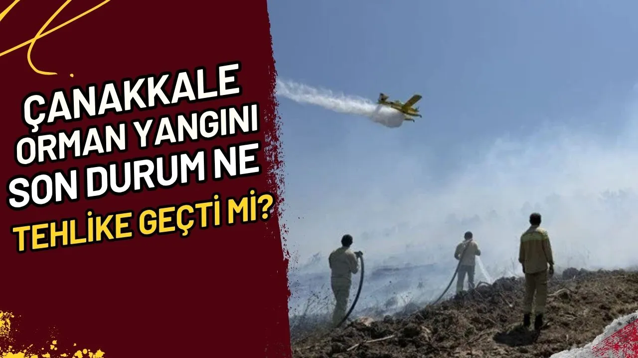 Çanakkale Orman Yangını Son Durum Ne, Tehlike Geçti mi?
