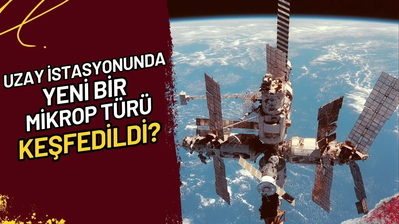 Uzay İstasyonunda Yeni Bir Mikrop Türü Keşfedildi?