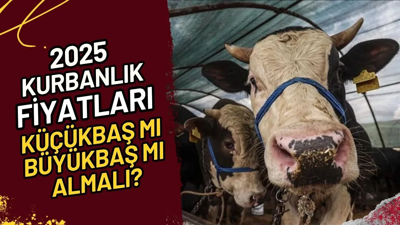 2025 Kurbanlık Fiyatları Küçükbaş mı, Büyükbaş mı Almalı?