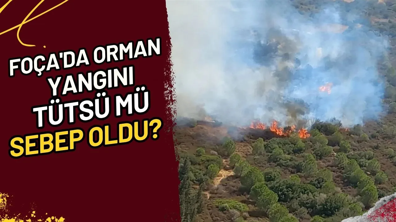 Foça'da Orman Yangını: Tütsü mü Sebep Oldu?
