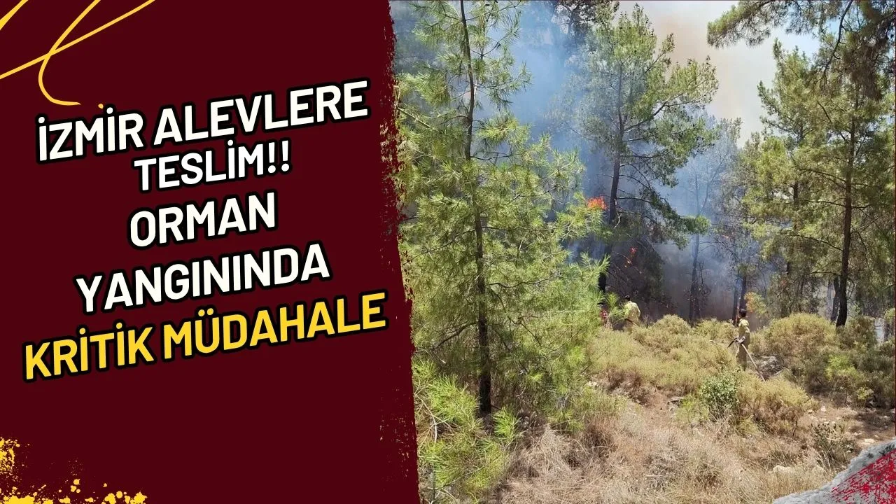 İzmir Alevlere Teslim!! Orman Yangınında Kritik Müdahale