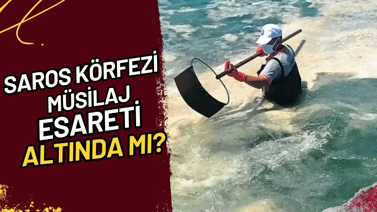 Saros Körfezi Müsilaj Esareti Altında mı?