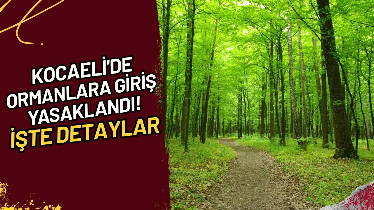 Kocaeli'de Ormanlara Giriş Yasaklandı! İşte Detaylar