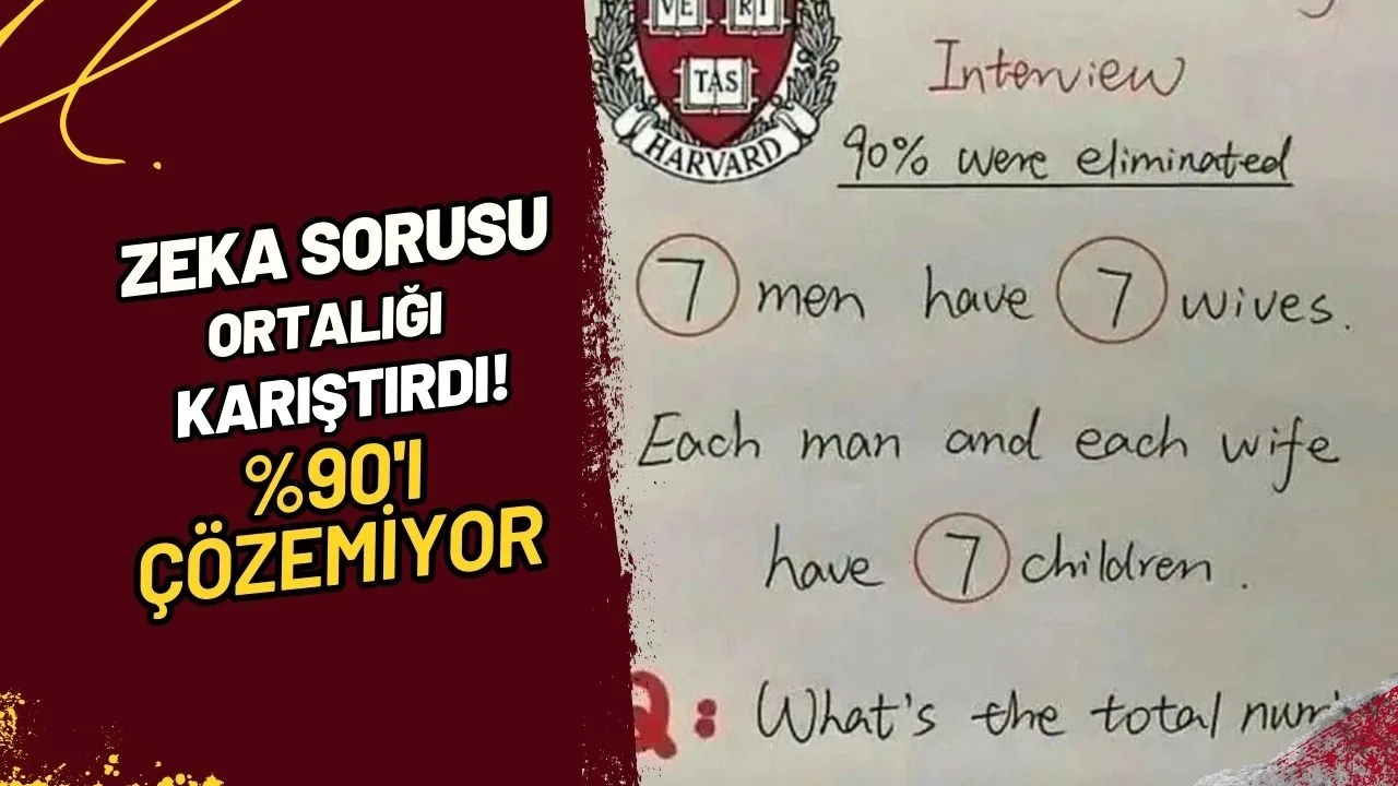 Zeka Sorusu Ortalığı Karıştırdı! %90'ı Çözemiyor