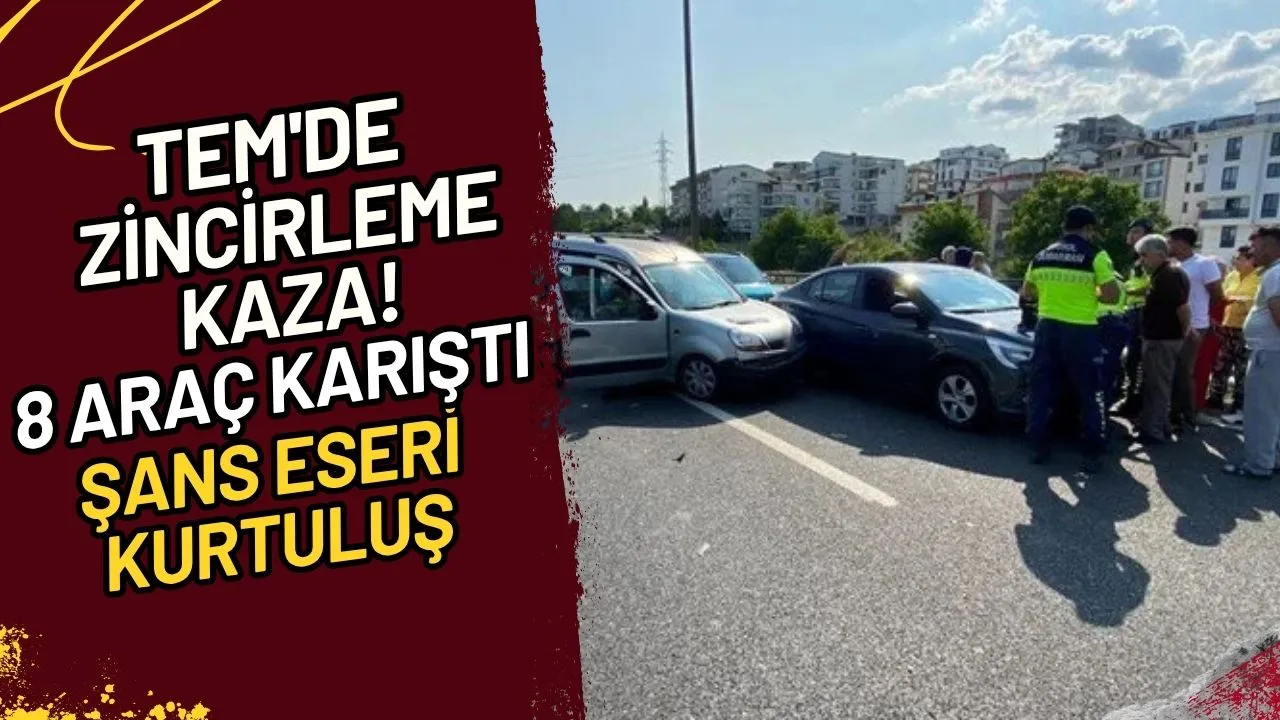 TEM'de Zincirleme Kaza! 8 Araç Karıştı, Şans Eseri Kurtuluş