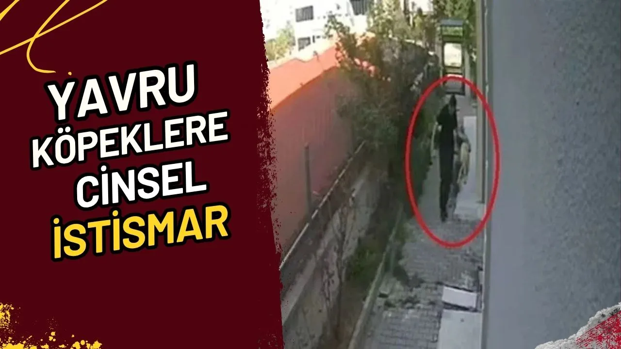 Yavru Köpeklere Cinsel İstismar